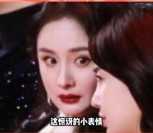 娱乐圈吃瓜的小说